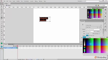 005 Text tool - Adobe Flash Tutorial in Hindi