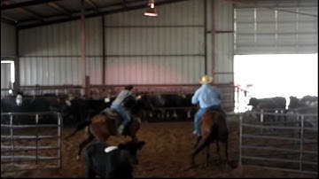 Valley View Ranch horse "Sonofagun" in training 5/5/12 RSNC Sorting Beg RH class - 59.35 on 8 head