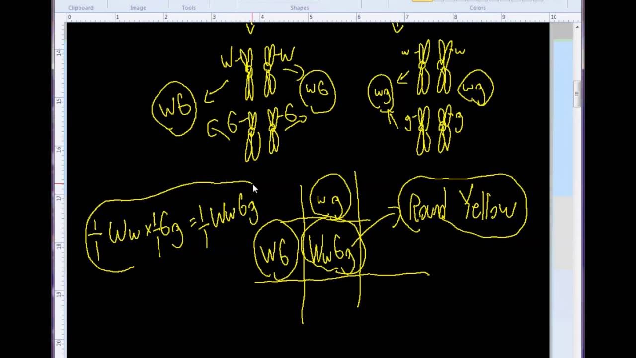 Problem 3.7