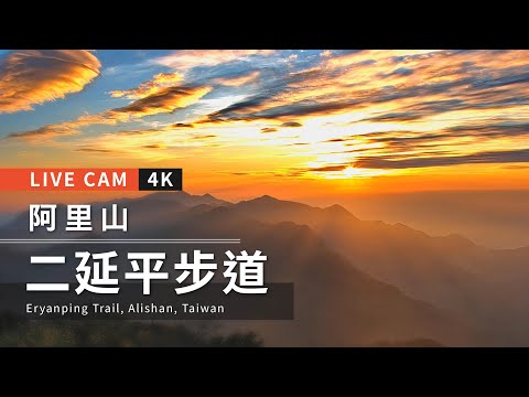 4K Live cam-Alishan【阿里山美景4K直播】-二延平步道 Eryanping Trail