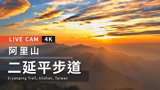 4K Live cam-Alishan【阿里山美景4K直播】-二延平步道 ... 