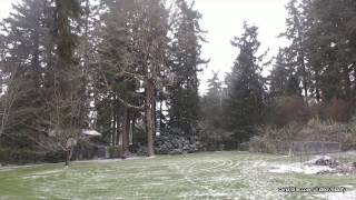 Snowpocalypse 2016 II: Revenge of the Snow - December 14th - Portland (Aloha), OR