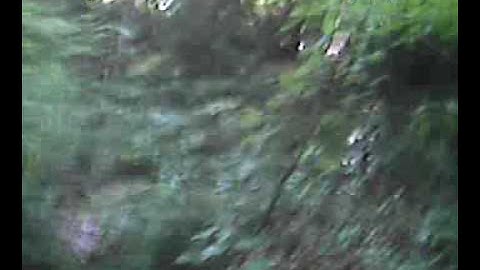 interactive video-THE EVIL JESTER-(RIGHT  PATH)