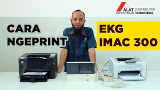 Cara Ngeprint EKG 3 Channel IMac 300 Menggunakan Printer External | Demo Online Alat Kesehatan Cara Ngeprint EKG 3 Channel IMac 300 Menggunakan Printer External | Demo Online Alat Kesehatan