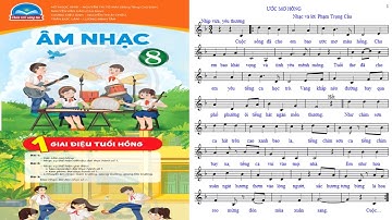 ƯỚC MƠ HỒNG || KẾT HỢP GÕ ĐỆM || ÂM NHẠC LỚP 8 || CHÂN TRỜI SÁNG TẠO