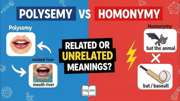 Verschil tussen polysemie en homonymie | Polysemie versus homonymie | Uitleg taalkunde