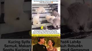 Syifa kucing nya banyak banget #syifahadju #elrumisyifa #trendingshorts