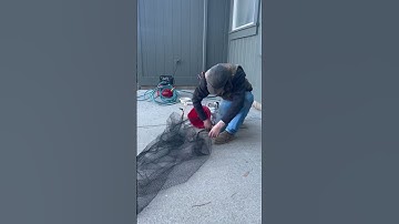 Net gun update video 2 #ranch #farming #netgun #agriculture #gadgets #coolgadgets