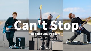 Red Hot Chili Peppers/Can't Stop一人で全部弾いてみた！ vintera_takuto