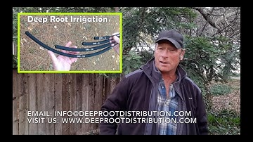 Pistachio Farmer Cuts Water Use By 52.1% With DRI