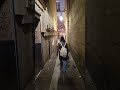Narrowest street in Paris is Rue du Chat-qui-Pêche,