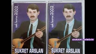 12 Şükret Arslan Karam Di̇bi̇di̇k Cover Bayan Oyun Havalari Elektro Bağlamalı Org Kütahyali Uçak Müz