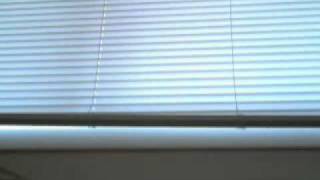 Capture_20110215_2.wmv