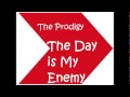 Rokweiler  the prodigy the day is my enemy albumtip.