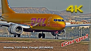 Boeing 737 800 DHL Cargo (EC-NXU)