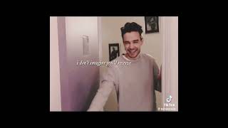 One Direction TikTok Edits (except my biases are clear)