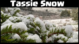 Winter Snow In Tassie 2020