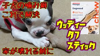 子犬の噛み癖で家が壊れる前に【ウッディータフスティック】