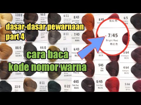 Video: 3 Cara Mudah Membaca Carta Warna Rambut