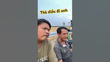 Đi thả diều mà nó lạ lắm #queochannel #shorts #vlog #windnet