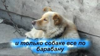 Волшебный Саксофон / Чудесный Отпуск 2012