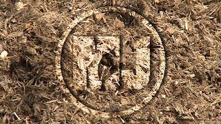Value of Silage - Aaron Berger - September 1, 2017