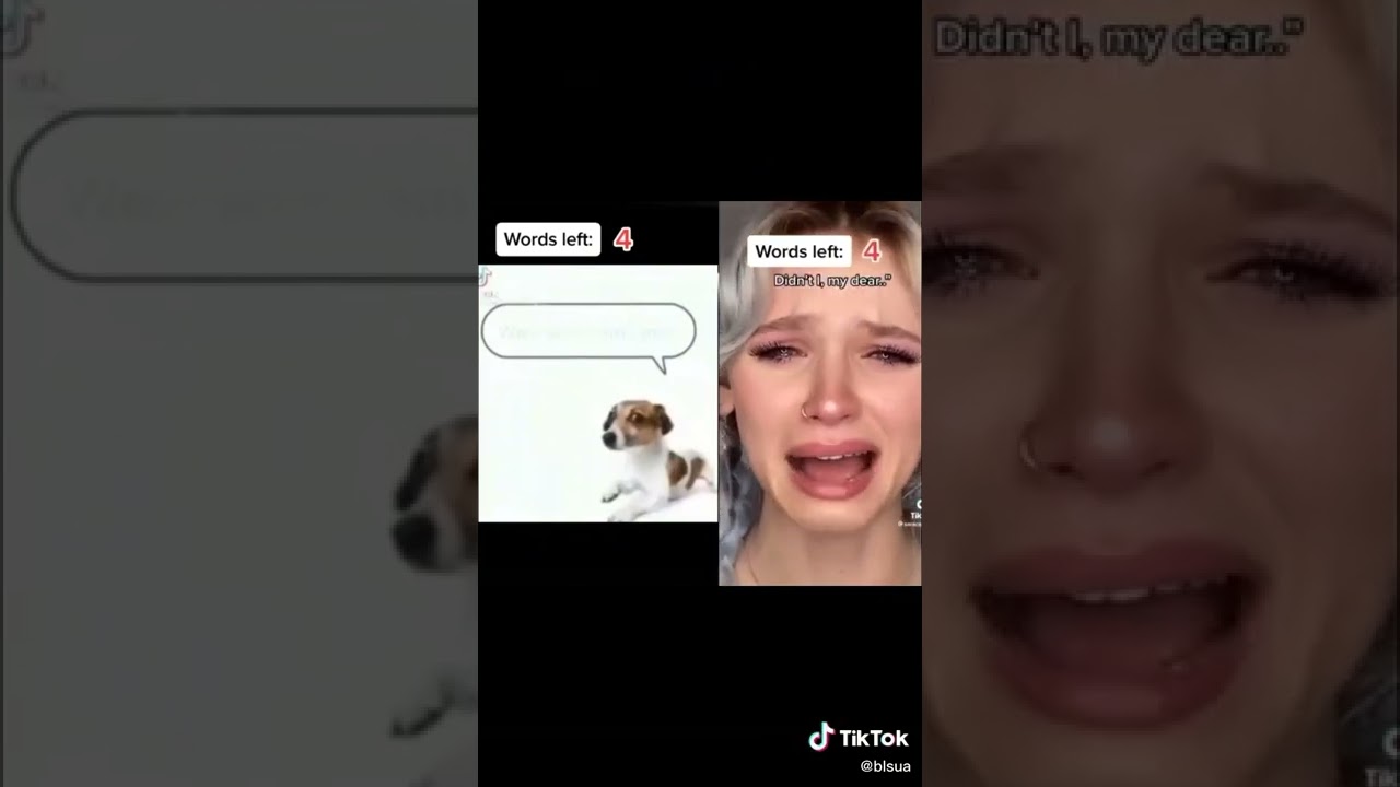 whe a met you in the summer