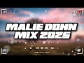 Malie Donn Mix 2025 King Effect Dancehall Mix 2025 7 00 Suspect Body Tea Malie Donn Mix 2025 King Effect Dancehall Mix 2025 7 00 Suspect Body Tea
