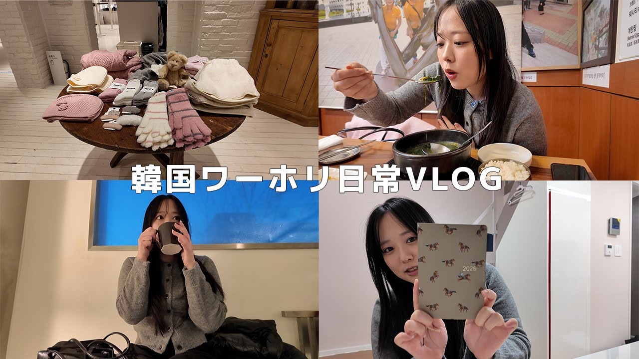 韓国vlog | SIM契約したりホンデでショッピングしたりぼっち飯したり一人で過ごす韓国ワーホリ日常生活🇰🇷レンタル倉庫も紹介してるよ