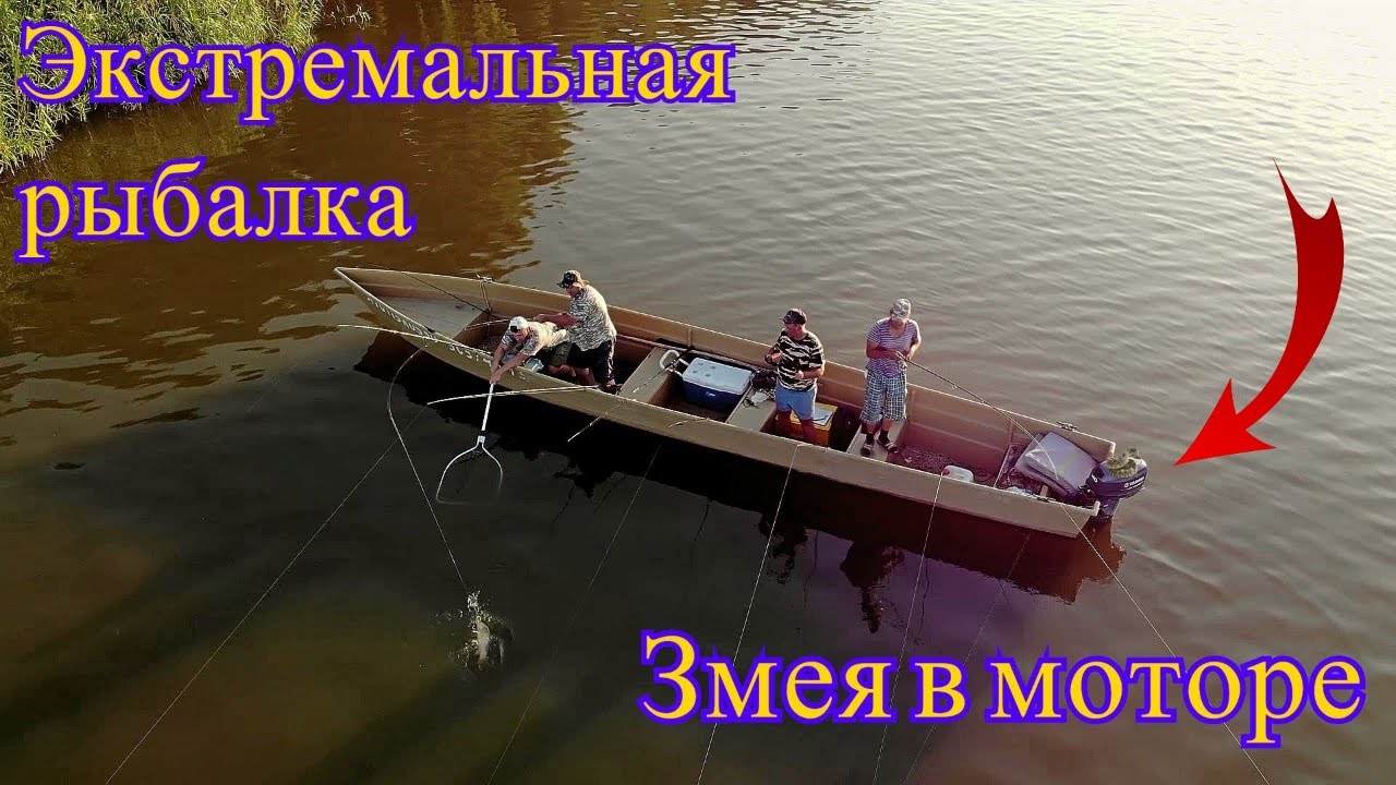ЗМЕЯ В ЛОДОЧНОМ МОТОРЕ Что делать? Рыбалка в астрахани Ловля сазана ...