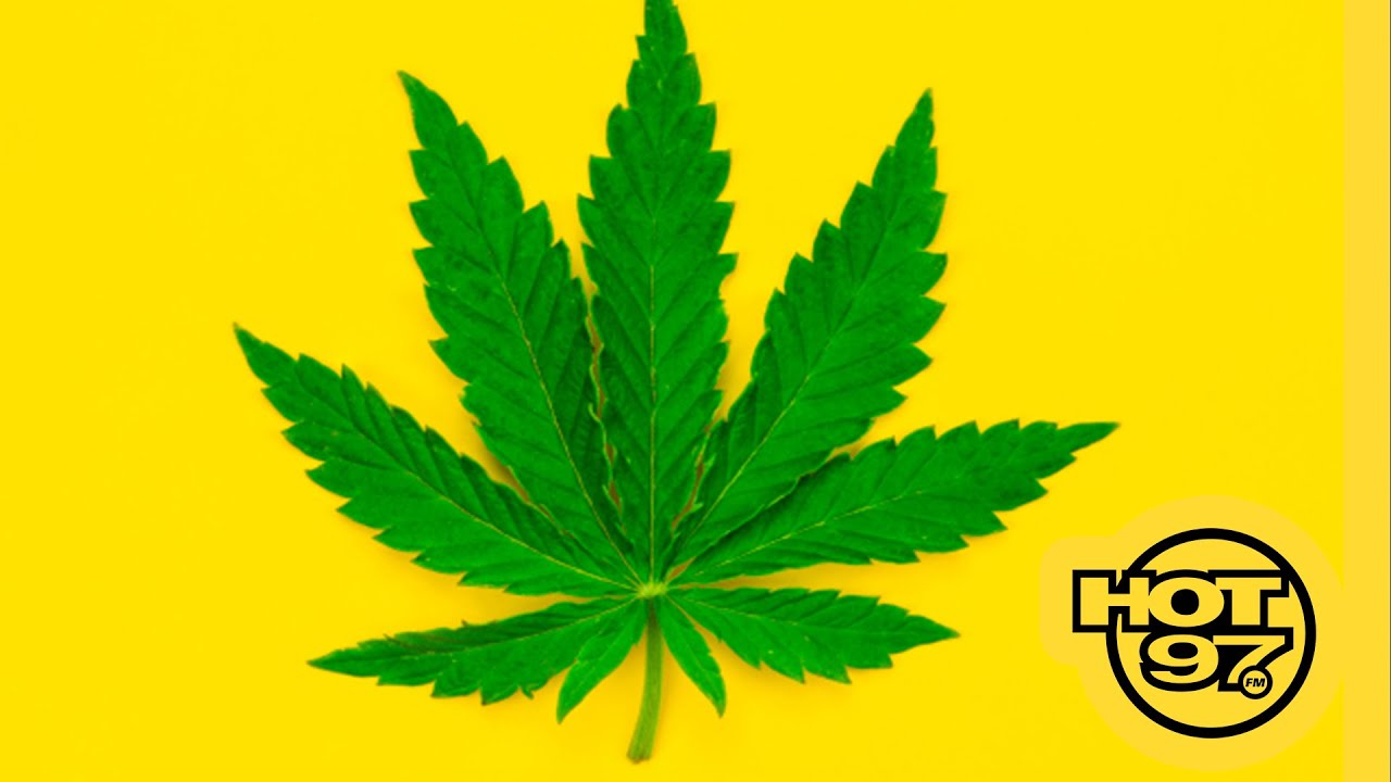 New York Legalizes Marijuana! Here's What It Means For You!