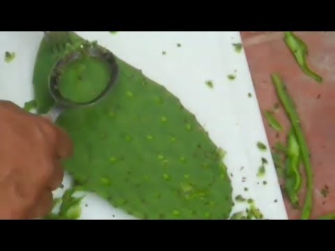 Como Pelar Nopales [con una cuchara] CACTUS (Nopal) Peeler Spoon