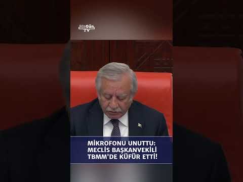 Meclis Başkanvekili açık