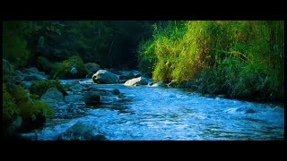 Relaxing river sound of a peaceful river in the middle of the forest