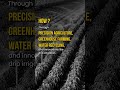 Did You Know? Israel Produces About 95% of Its Food Needs Despite Having Limited Water Resources