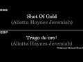 Shot Of Gold (Aliotta Haynes Jeremiah) — Lyrics/Letra en Español e Inglés