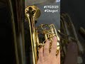 Shagerl rotary trumpets Bb &amp; C