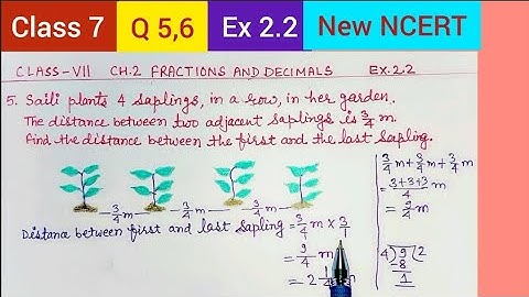 Q 5,6  Ex 2.2 | Class 7 Maths #NewNCERT