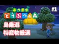 【あつ森】始まるまでが長いすろーらいふ【あつまれどうぶつの森】【実況】