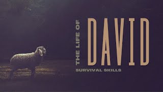 Survival Skills | 4.17.24 | Esther McMichael