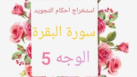 إستخراج أحكام التجويد سورة البقرة الوجه ٥