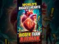 Top 5 Animals With The Biggest Hearts On Earth #1 has 180kg heart #foryou  #animals #ytshorts