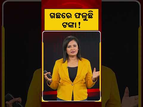 ଗଛରେ ଫଳୁଛି ଟଙ୍କା ! | Money Tree | Scotland Travel | England History | Argus News