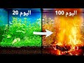 محاكاة غابه لمدة 100 يوم