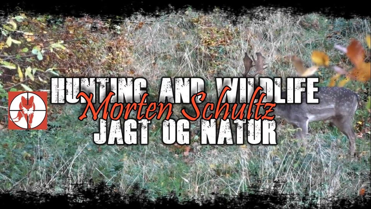 .308Win and .17HMR Drop shots. YouTube