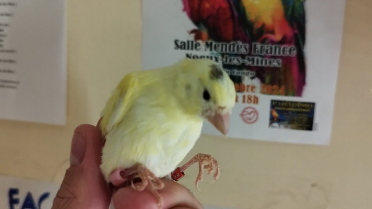 des nouvelles des jeunes 2024 😁