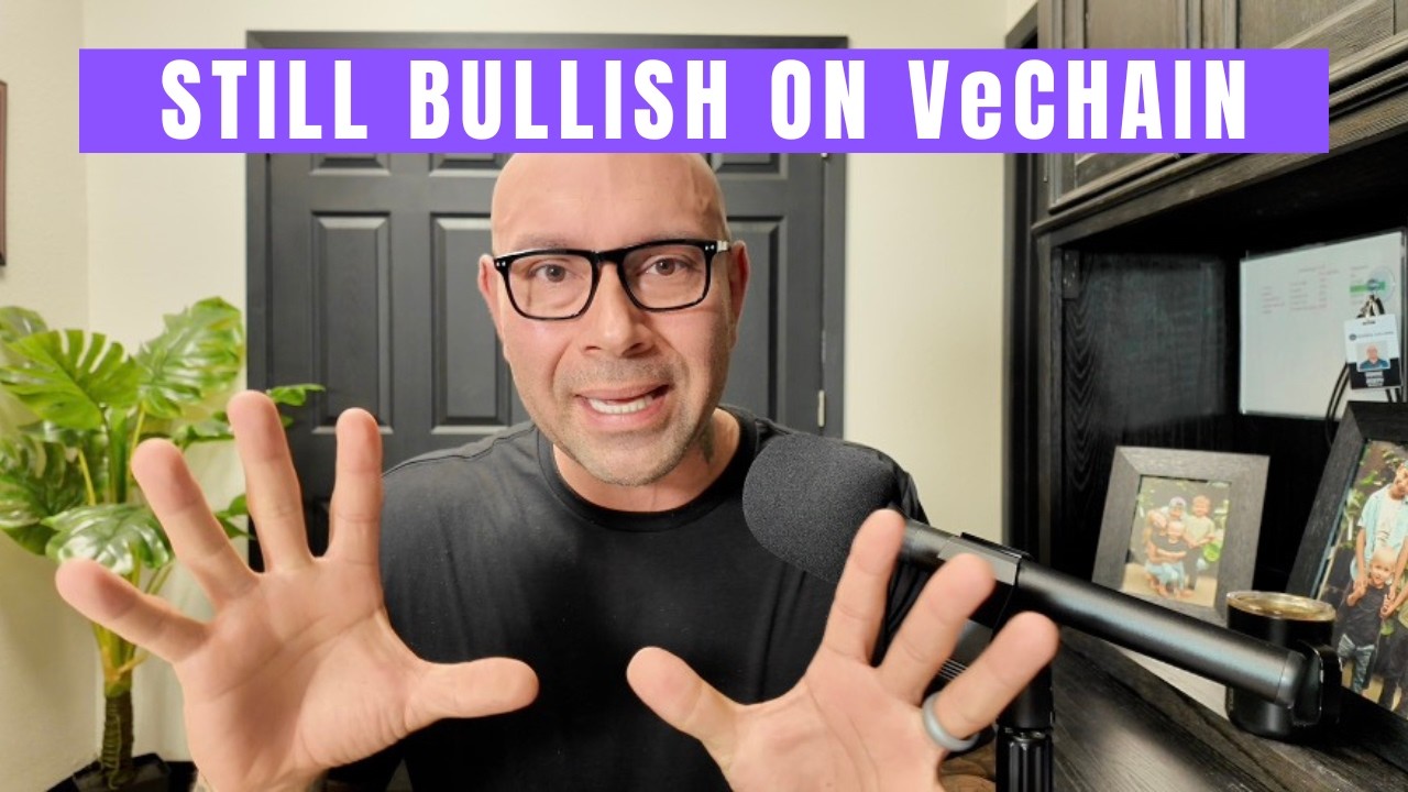 VeChain Haters Aren't Going to Like This Video But I Don't Care