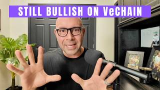 Vechain Haters Arent Going To Like This Video But I Dont Care