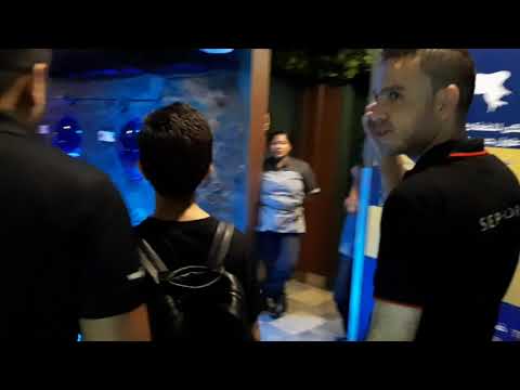 Dubai Aquarium & Underwater Zoo / VR Park / Hammad safi