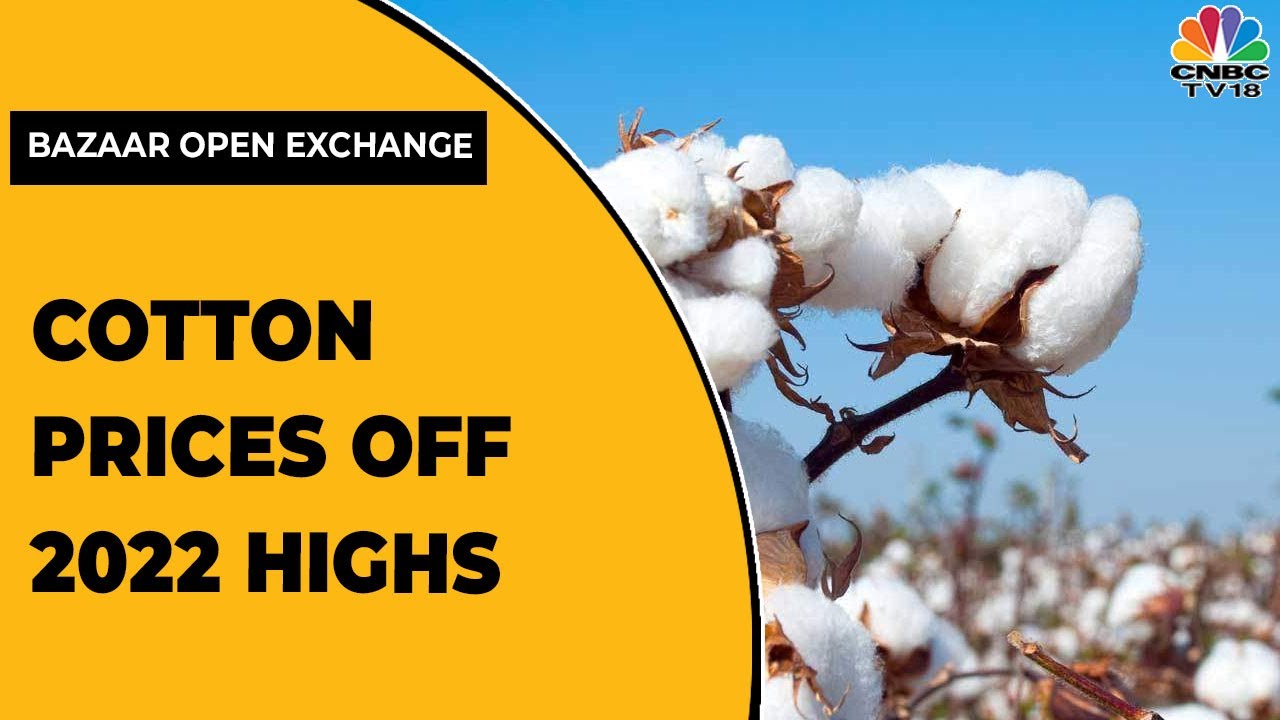 Cotton Prices Down Nearly 25 From 2022 Highs Bazaar Corporate Radar CNBCTV18 YouTube